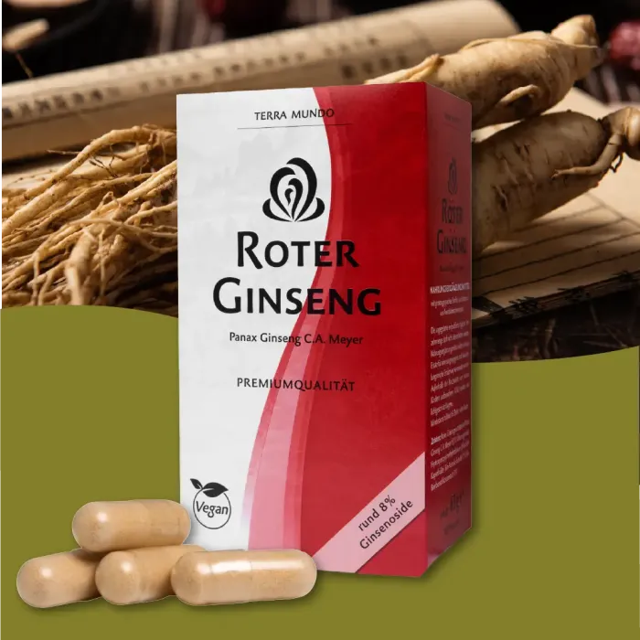 Roter Ginseng – Premium Panax Ginseng mit natürlichem Vitamin C